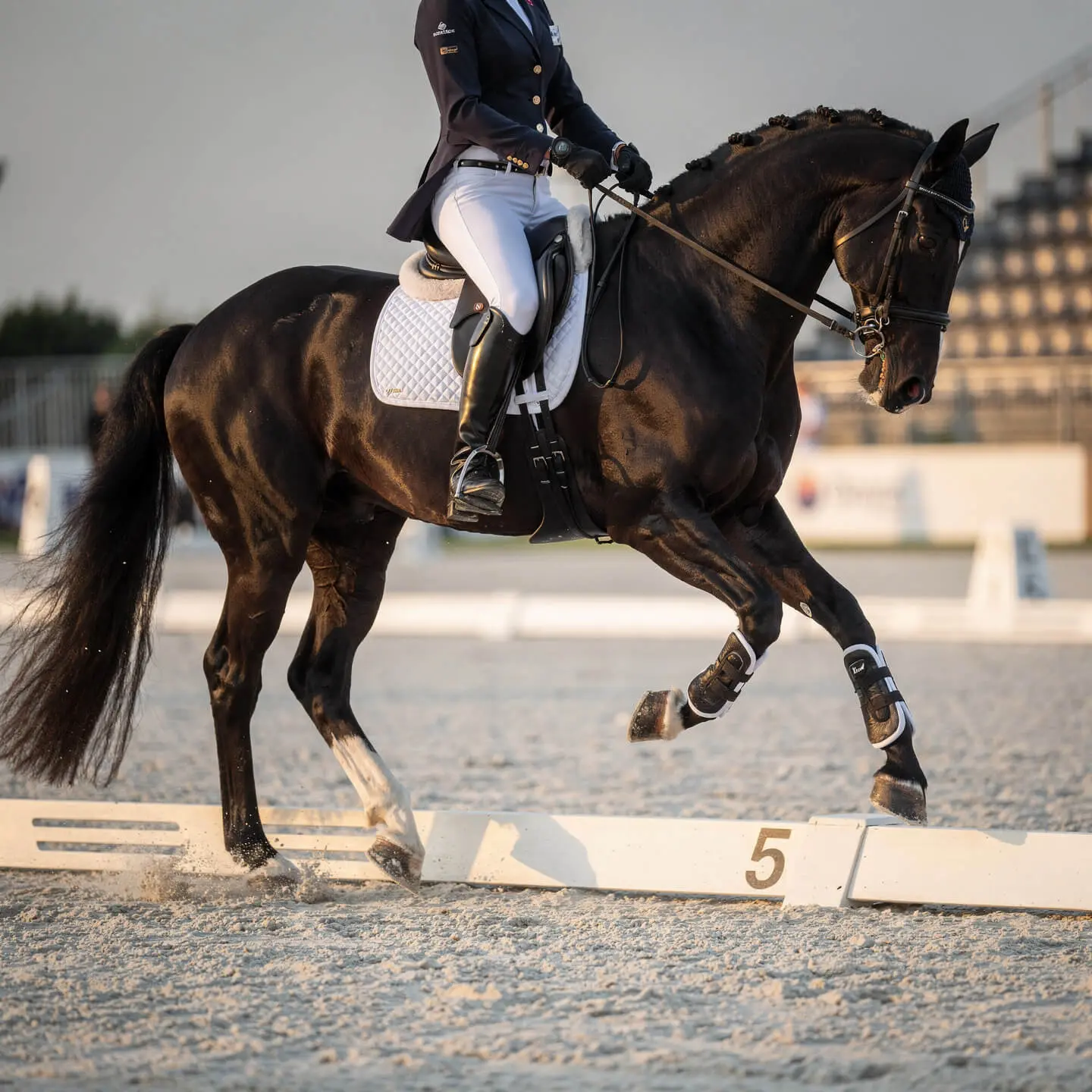 Valentino d'Or